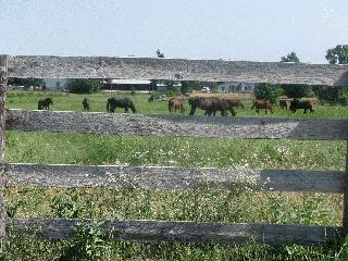 Farm outside of Mulvane