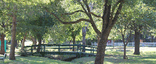 English Park Bridge